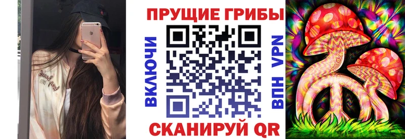 цены наркотик  Шебекино  Галлюциногенные грибы Psilocybine cubensis 
